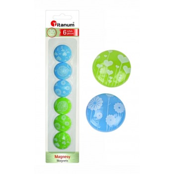Magnete für Tafeln 30mm 6...