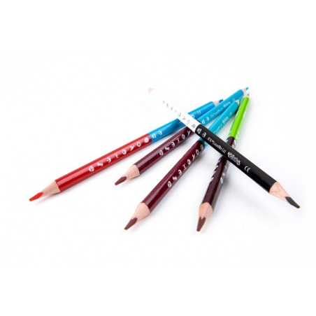 Double-sided markers 10 colors Star Wars Colorino