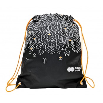 A bag for shoes JUST 1...