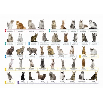 Podkład szkolny na biurko...