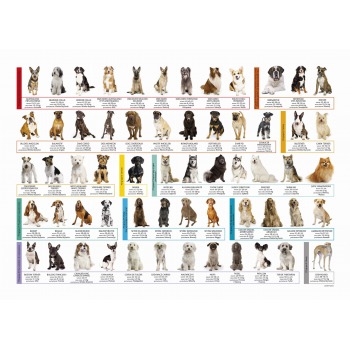 Podkład szkolny na biurko...