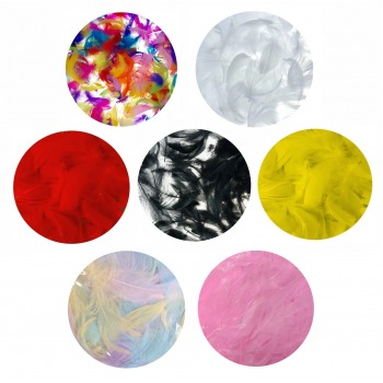 Zierfedern, Daunen 7g, Shan