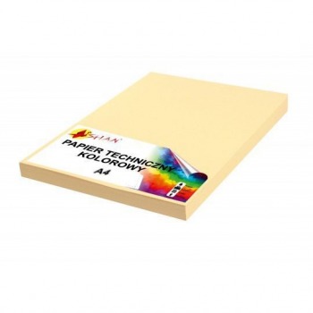 Technisches Papier A4 160g...