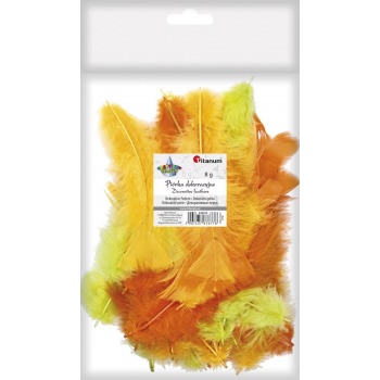 Zierfedern 8g Mix 2 Titanum