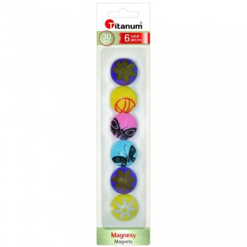 Magnete für Boards 30 mm, 6...