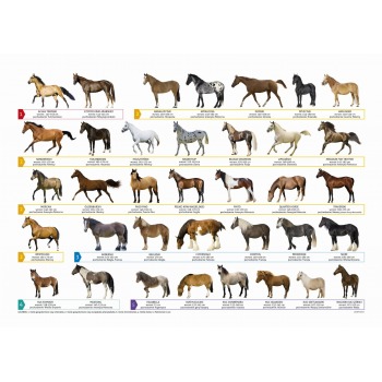 Double-sided school desk...