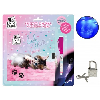 Diary with padlock and...