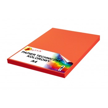 Papier techniczny A4 220g...