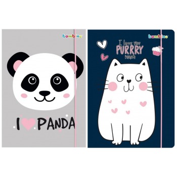 Folder with an elastic band...