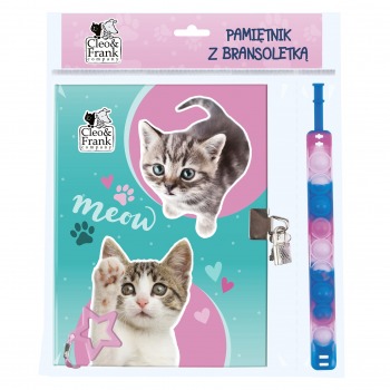 Diary with padlock and...