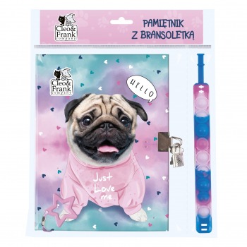 Pamiętnik z kłódką i...