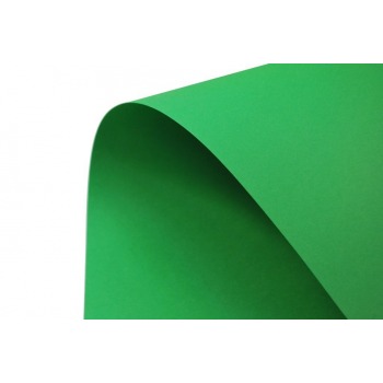 Farbpapier A1 86x61cm Grüne...