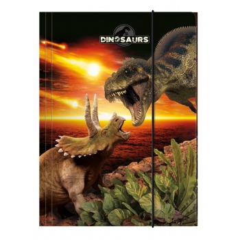 A4 rubber band folder...