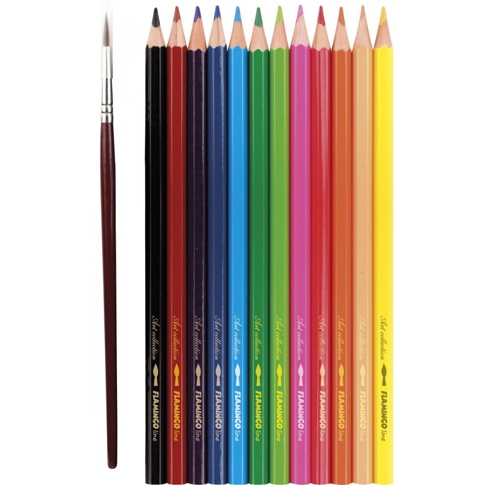 BIC Kids Evolution Illusion erasable pencil crayons box of 12 pcs 