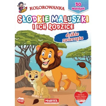 Kolorowanka z naklejkami...