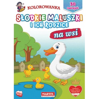 Kolorowanka z naklejkami...