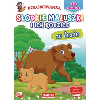 Kolorowanka z naklejkami...