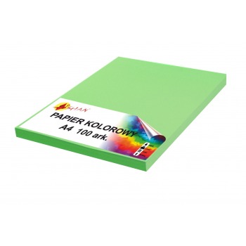 Color paper A4 80g grass green