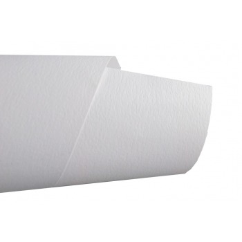 Papier ozdobny biały kornik...