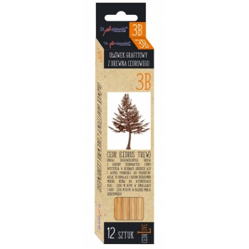 Cedar wood graphite pencils...