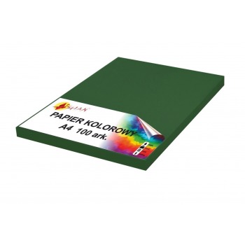 Papier kolorowy A4 120g...