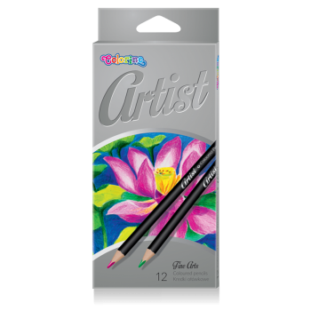 ARTIST 12 color pencils...