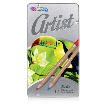 ARTIST 12 Buntstifte in...