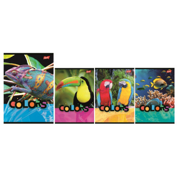 Zeszyt A5 32k kratka...