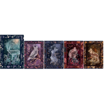 Zeszyt A5 60k linia...