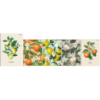 Zeszyt A5 60k linia Summer...