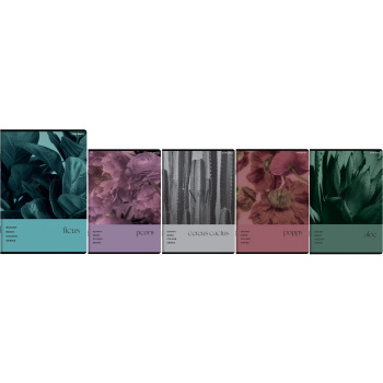 Zeszyt A5 96k kratka Botany...