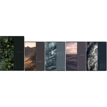 Zeszyt A5 96k kratka Birds...