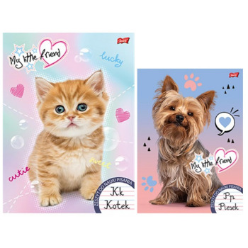 Zeszyt do nauki pisania A4...