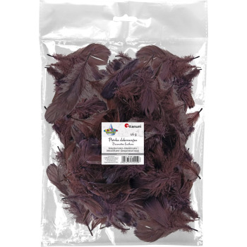 Piórka Titanum Craft-Fun...