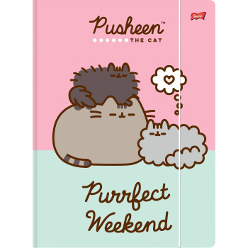Teczka z gumką A4 Pusheen...