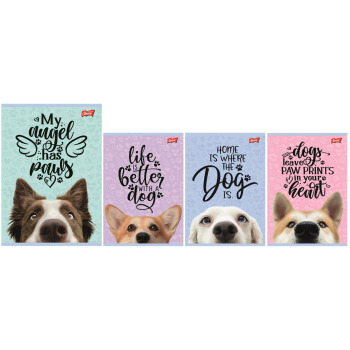 Zeszyt A5 16k kratka Dog...