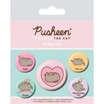Zestaw 5 przypinek Pusheen...
