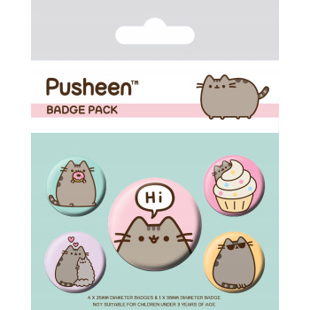 Zestaw 5 przypinek Pusheen...