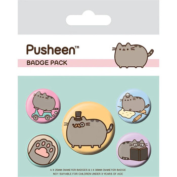 Zestaw 5 przypinek Pusheen...