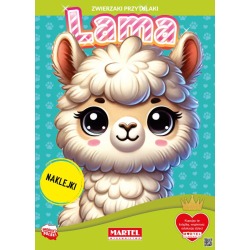 Kolorowanka z naklejkami...