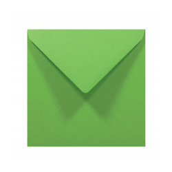 Koperty kwadratowe zielony...