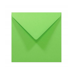 Koperty kwadratowe zielony...