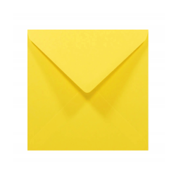 Koperty kwadratowe żółte...