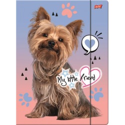 A4 rubber-band folder My...