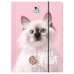 Teczka z gumką A4 Kot Cleo...