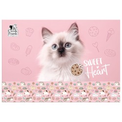 Podkład szkolny na biurko...