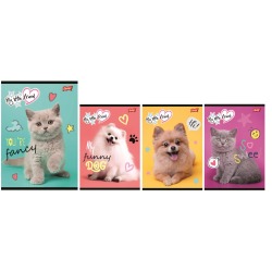 Zeszyt A5 32k linia...