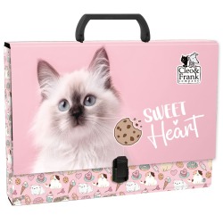 Teczka z rączką A4 4.5cm...