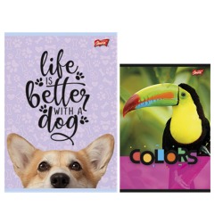 Zeszyt A4 32k linia...