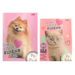 Zeszyt do nauki pisania A4...